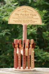 pocket flute a